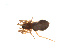  ( - BIOUG14292-A06)  @12 [ ] CreativeCommons - Attribution (2014) G. Blagoev Centre for Biodiversity Genomics