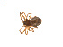  ( - BIOUG14292-B11)  @13 [ ] CreativeCommons - Attribution (2014) G. Blagoev Centre for Biodiversity Genomics