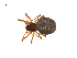  ( - BIOUG14292-B12)  @13 [ ] CreativeCommons - Attribution (2014) G. Blagoev Centre for Biodiversity Genomics
