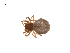  ( - BIOUG14292-C02)  @12 [ ] CreativeCommons - Attribution (2014) G. Blagoev Centre for Biodiversity Genomics