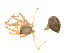  ( - BIOUG14292-C11)  @12 [ ] CreativeCommons - Attribution (2014) G. Blagoev Centre for Biodiversity Genomics