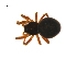  ( - BIOUG14292-E10)  @13 [ ] CreativeCommons - Attribution (2014) G. Blagoev Centre for Biodiversity Genomics