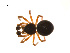  ( - BIOUG14292-E12)  @13 [ ] CreativeCommons - Attribution (2014) G. Blagoev Centre for Biodiversity Genomics