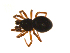  ( - BIOUG14292-F03)  @13 [ ] CreativeCommons - Attribution (2014) G. Blagoev Centre for Biodiversity Genomics