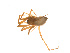  ( - BIOUG14292-F09)  @12 [ ] CreativeCommons - Attribution (2014) G. Blagoev Centre for Biodiversity Genomics