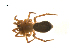  ( - BIOUG14292-H07)  @13 [ ] CreativeCommons - Attribution (2014) G. Blagoev Centre for Biodiversity Genomics