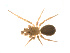  ( - BIOUG14292-H09)  @12 [ ] CreativeCommons - Attribution (2014) G. Blagoev Centre for Biodiversity Genomics