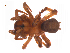  ( - BIOUG14293-B03)  @11 [ ] CreativeCommons - Attribution (2014) G. Blagoev Centre for Biodiversity Genomics