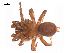  ( - BIOUG14293-C10)  @14 [ ] CreativeCommons - Attribution (2014) G. Blagoev Centre for Biodiversity Genomics