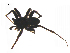  ( - BIOUG14293-G04)  @12 [ ] CreativeCommons - Attribution (2014) G. Blagoev Centre for Biodiversity Genomics