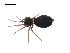  ( - BIOUG14294-A01)  @12 [ ] CreativeCommons - Attribution (2014) G. Blagoev Centre for Biodiversity Genomics
