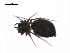  ( - BIOUG14294-A02)  @12 [ ] CreativeCommons - Attribution (2014) G. Blagoev Centre for Biodiversity Genomics
