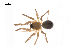  ( - BIOUG14294-D03)  @15 [ ] CreativeCommons - Attribution (2014) G. Blagoev Centre for Biodiversity Genomics