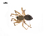  ( - BIOUG14294-D04)  @13 [ ] CreativeCommons - Attribution (2014) G. Blagoev Centre for Biodiversity Genomics