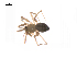  ( - BIOUG14294-D05)  @12 [ ] CreativeCommons - Attribution (2014) G. Blagoev Centre for Biodiversity Genomics