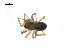  ( - BIOUG14294-D12)  @12 [ ] CreativeCommons - Attribution (2014) G. Blagoev Centre for Biodiversity Genomics