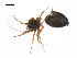  ( - BIOUG14294-E02)  @12 [ ] CreativeCommons - Attribution (2014) G. Blagoev Centre for Biodiversity Genomics