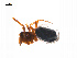  ( - BIOUG14294-F04)  @12 [ ] CreativeCommons - Attribution (2014) G. Blagoev Centre for Biodiversity Genomics