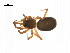  ( - BIOUG14295-B04)  @13 [ ] CreativeCommons - Attribution (2014) G. Blagoev Centre for Biodiversity Genomics