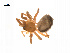  ( - BIOUG14295-B09)  @11 [ ] CreativeCommons - Attribution (2014) G. Blagoev Centre for Biodiversity Genomics
