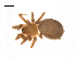  ( - BIOUG14295-B10)  @11 [ ] CreativeCommons - Attribution (2014) G. Blagoev Centre for Biodiversity Genomics