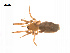  ( - BIOUG14295-B11)  @11 [ ] CreativeCommons - Attribution (2014) G. Blagoev Centre for Biodiversity Genomics