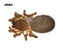  ( - BIOUG14295-C05)  @12 [ ] CreativeCommons - Attribution (2014) G. Blagoev Centre for Biodiversity Genomics
