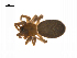  ( - BIOUG14295-C06)  @13 [ ] CreativeCommons - Attribution (2014) G. Blagoev Centre for Biodiversity Genomics
