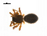  ( - BIOUG14295-D01)  @11 [ ] CreativeCommons - Attribution (2014) G. Blagoev Centre for Biodiversity Genomics