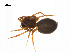  ( - BIOUG14295-D08)  @12 [ ] CreativeCommons - Attribution (2014) G. Blagoev Centre for Biodiversity Genomics