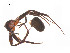  ( - BIOUG14296-D02)  @11 [ ] CreativeCommons - Attribution (2014) G. Blagoev Centre for Biodiversity Genomics