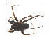  ( - BIOUG14296-D03)  @12 [ ] CreativeCommons - Attribution (2014) G. Blagoev Centre for Biodiversity Genomics