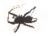  ( - BIOUG14296-D04)  @12 [ ] CreativeCommons - Attribution (2014) G. Blagoev Centre for Biodiversity Genomics