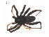  ( - BIOUG14296-D05)  @13 [ ] CreativeCommons - Attribution (2014) G. Blagoev Centre for Biodiversity Genomics