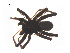  ( - BIOUG14296-D06)  @12 [ ] CreativeCommons - Attribution (2014) G. Blagoev Centre for Biodiversity Genomics