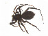  ( - BIOUG14296-D10)  @13 [ ] CreativeCommons - Attribution (2014) G. Blagoev Centre for Biodiversity Genomics