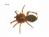  ( - BIOUG14297-A05)  @13 [ ] CreativeCommons - Attribution (2014) G. Blagoev Centre for Biodiversity Genomics