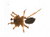  ( - BIOUG14297-A11)  @11 [ ] CreativeCommons - Attribution (2014) G. Blagoev Centre for Biodiversity Genomics