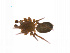  ( - BIOUG14297-B01)  @12 [ ] CreativeCommons - Attribution (2014) G. Blagoev Centre for Biodiversity Genomics