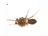  ( - BIOUG14297-B02)  @12 [ ] CreativeCommons - Attribution (2014) G. Blagoev Centre for Biodiversity Genomics