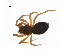 ( - BIOUG14297-G01)  @13 [ ] CreativeCommons - Attribution (2014) G. Blagoev Centre for Biodiversity Genomics