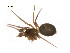  ( - BIOUG14297-H02)  @12 [ ] CreativeCommons - Attribution (2014) G. Blagoev Centre for Biodiversity Genomics
