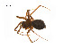  ( - BIOUG14298-G01)  @12 [ ] CreativeCommons - Attribution (2014) G. Blagoev Centre for Biodiversity Genomics