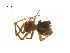  ( - BIOUG14298-G02)  @12 [ ] CreativeCommons - Attribution (2014) G. Blagoev Centre for Biodiversity Genomics