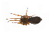  ( - BIOUG14299-G05)  @12 [ ] CreativeCommons - Attribution (2014) G. Blagoev Centre for Biodiversity Genomics