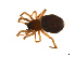  ( - BIOUG14300-B09)  @11 [ ] CreativeCommons - Attribution (2014) G. Blagoev Centre for Biodiversity Genomics