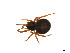  ( - BIOUG14300-B11)  @13 [ ] CreativeCommons - Attribution (2014) G. Blagoev Centre for Biodiversity Genomics