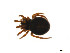  ( - BIOUG14300-C02)  @12 [ ] CreativeCommons - Attribution (2014) G. Blagoev Centre for Biodiversity Genomics