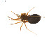  ( - BIOUG14300-E01)  @11 [ ] CreativeCommons - Attribution (2014) G. Blagoev Centre for Biodiversity Genomics