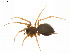  ( - BIOUG14300-E02)  @11 [ ] CreativeCommons - Attribution (2014) G. Blagoev Centre for Biodiversity Genomics